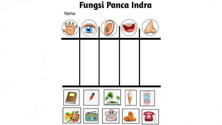 Lembar Kerja Tema Panca Indera 3